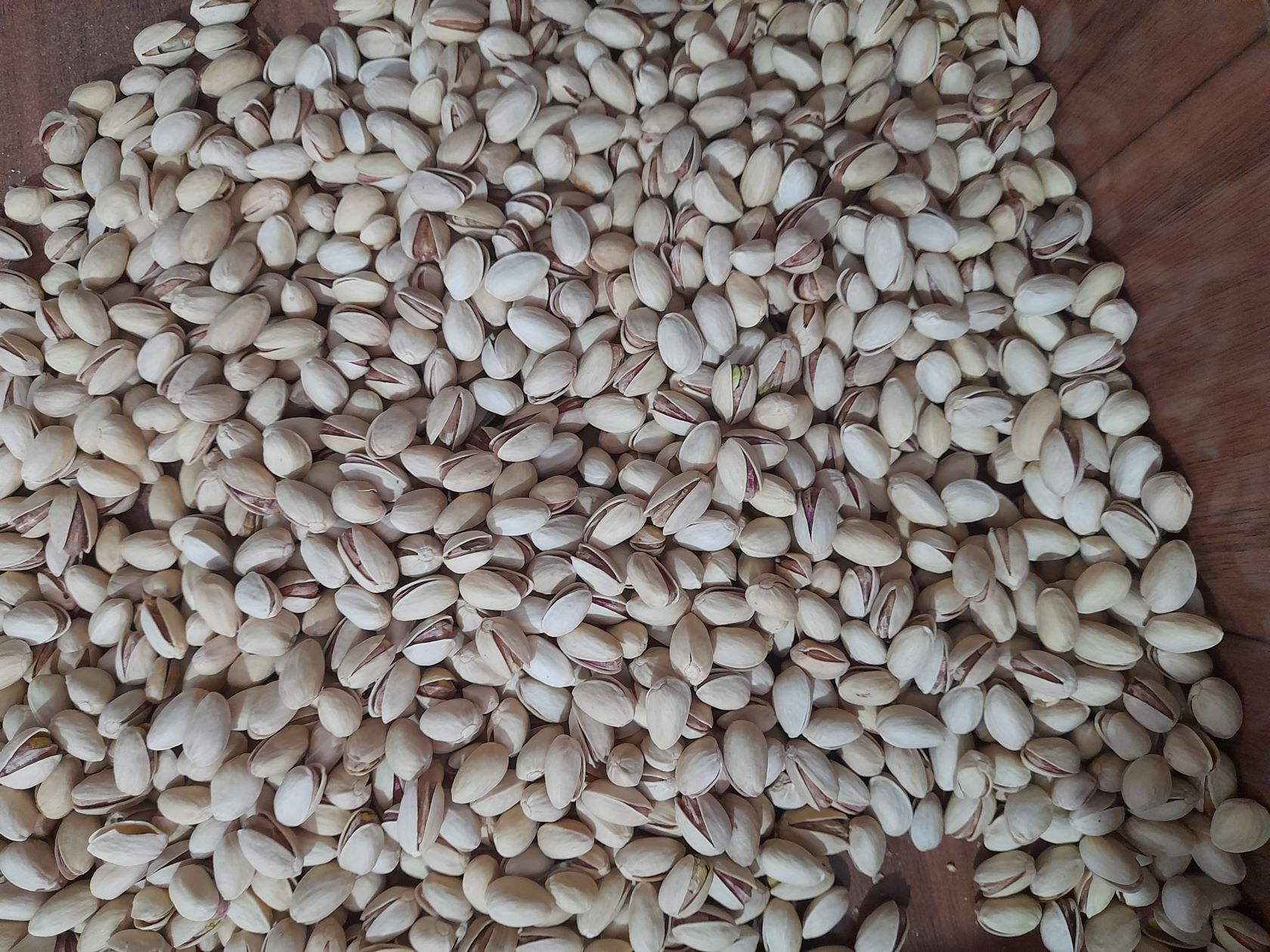 فروش پسته کرمان